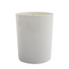 MAX BENJAMIN - Candle - Lemongrass & Ginger 190g/6.5oz